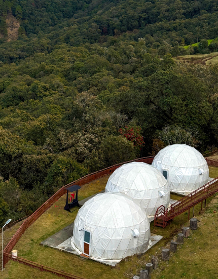 Best Mussoorie Hotels And Resorts